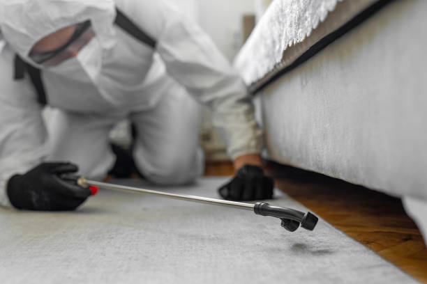 Professional Pest Control technician working in Sarasota Springs, FL