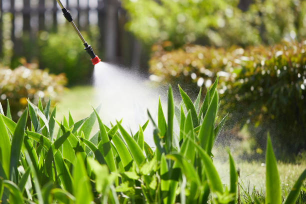 24/7 Emergency Mosquito Control experts in Sarasota Springs, FL