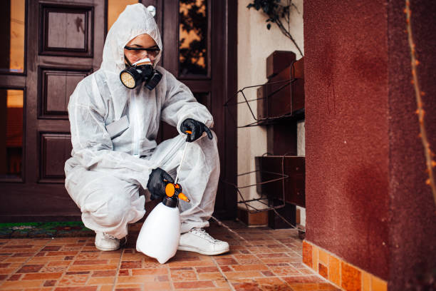 Reliable Mosquito Control contractor in Sarasota Springs, FL by Nex Pest Control